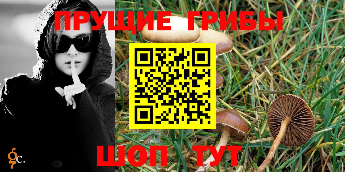 Псилоцибиновые грибы GOLDEN TEACHER Кунгур