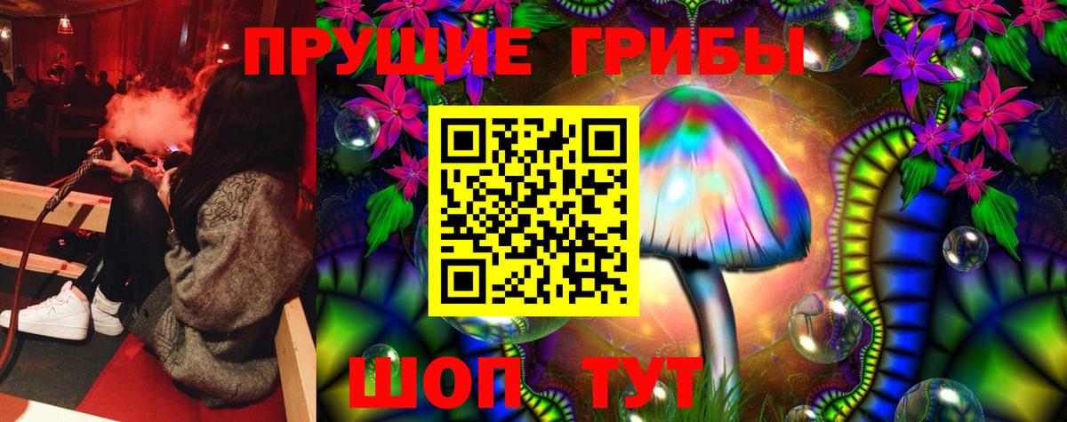 Кунгур  наркошоп  Галлюциногенные грибы GOLDEN TEACHER  Вход с VPN  Галлюциногенные грибы Psilocybine cubensis 